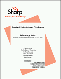 Cover of E-Strategy Document